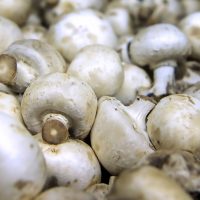 The time has come To Consider Growing Mushrooms